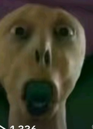Flapexplorer69's profile picture