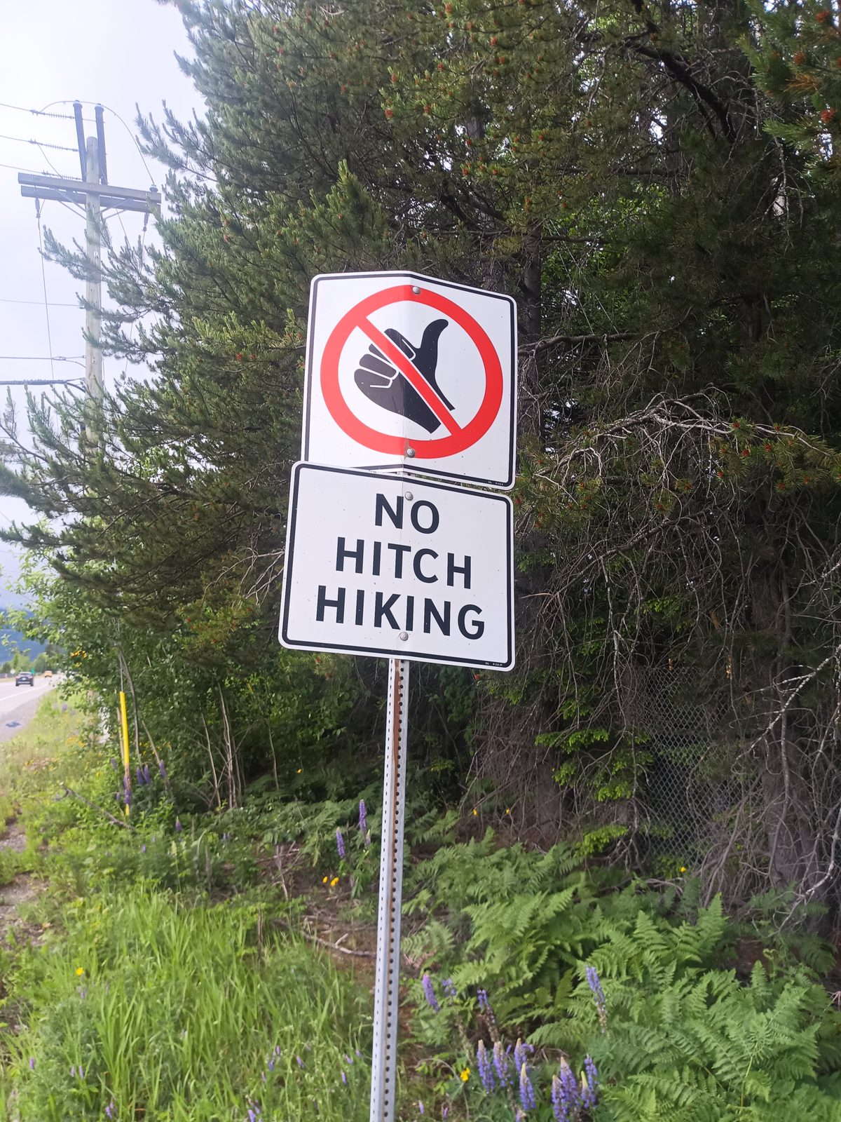 Photo attached to this ride